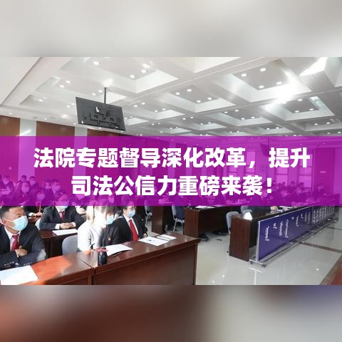 法院專題督導深化改革，提升司法公信力重磅來襲！