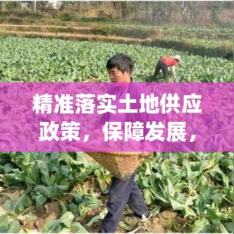 精準落實土地供應政策，保障發展，守護耕地安全