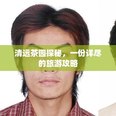 清遠茶園探秘，一份詳盡的旅游攻略