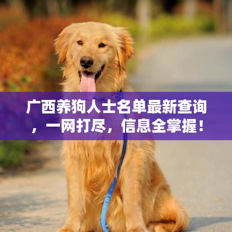 廣西養狗人士名單最新查詢，一網打盡，信息全掌握！