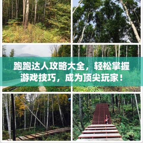 跑跑達人攻略大全，輕松掌握游戲技巧，成為頂尖玩家！